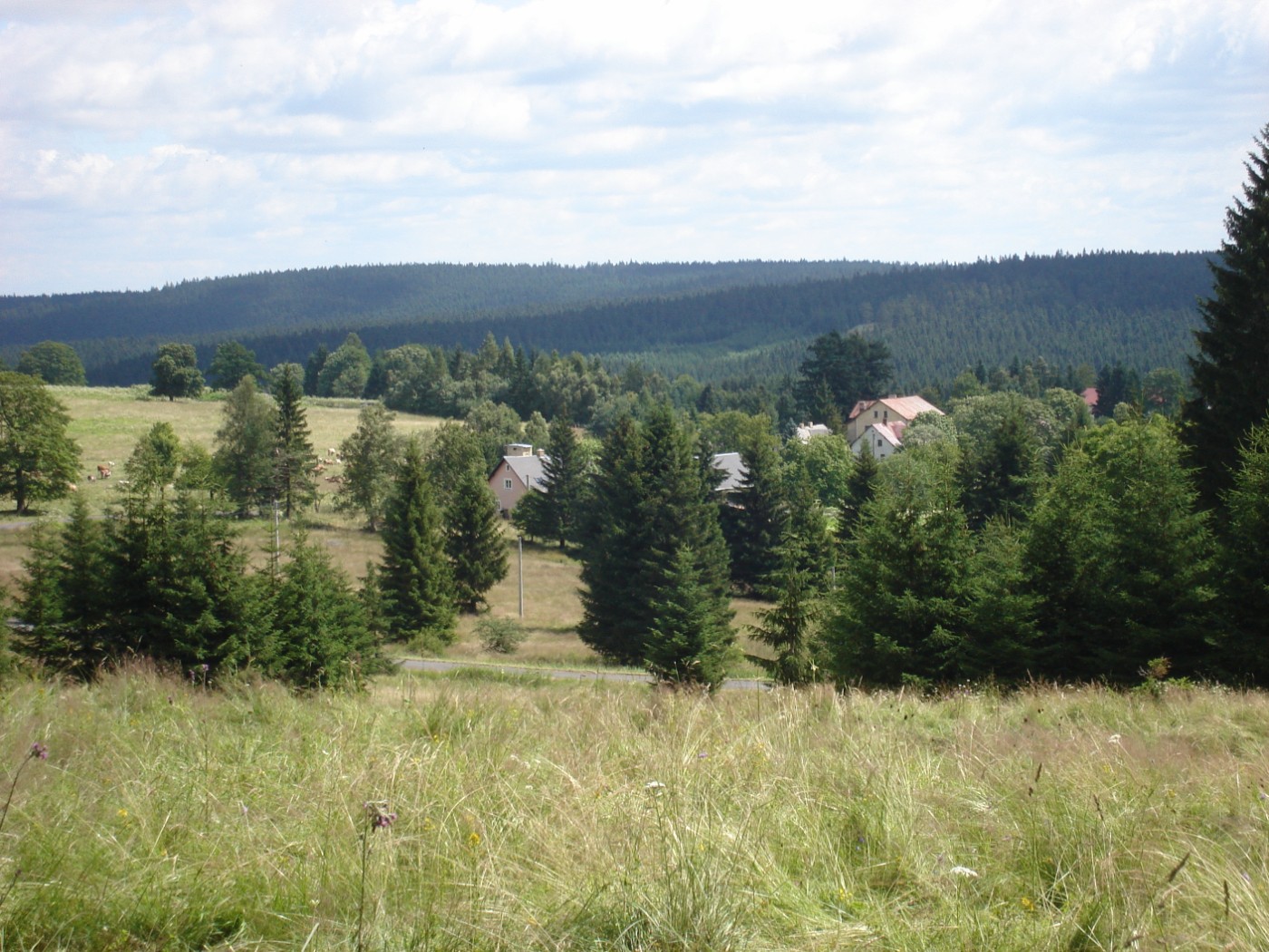 Huis 10 personen, natuurgebied